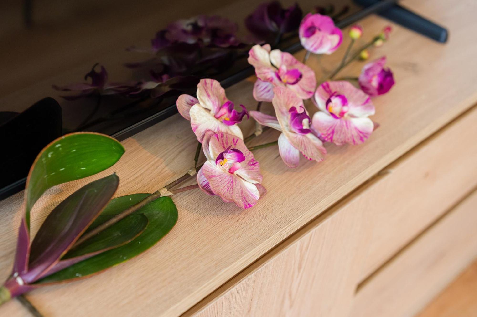 A De Neno Apartment Melide Ngoại thất bức ảnh